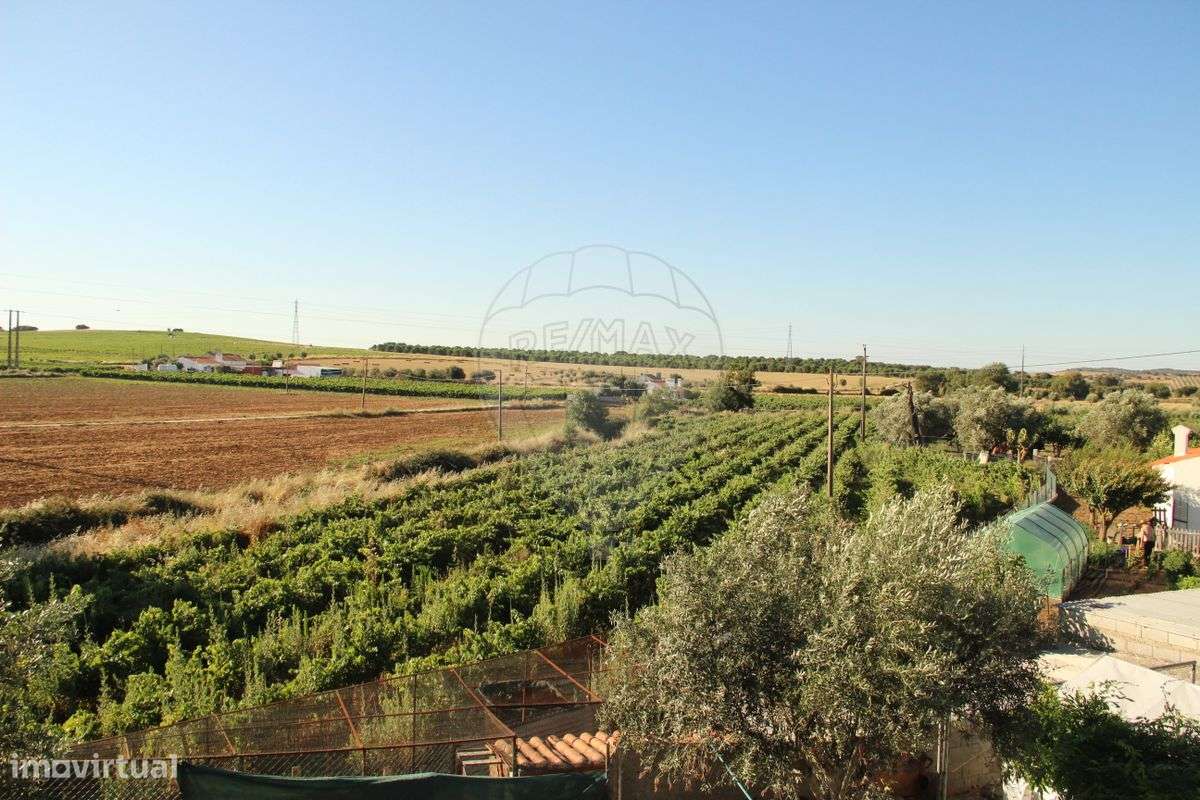 Terreno  para venda - Grande imagem: 4/33