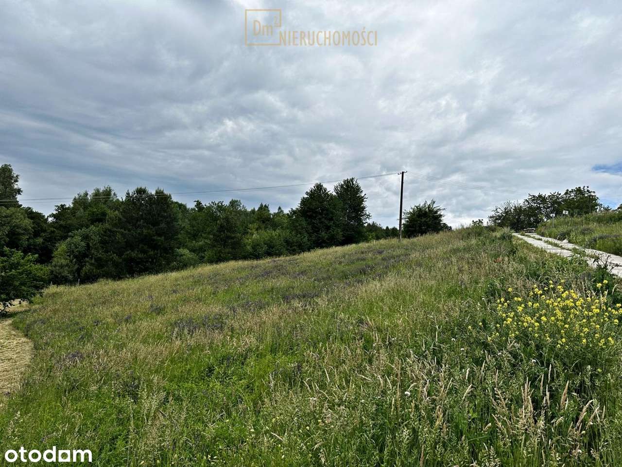 Widokowa działka z WZ - Pełny obrazek: 5/5