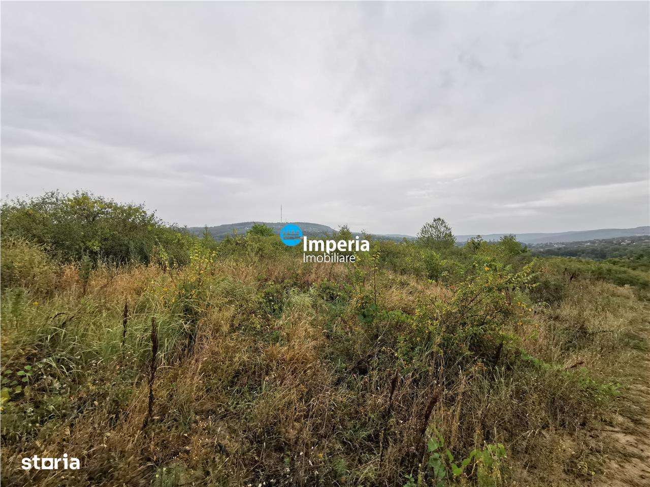 Teren intravilan de vanzare Visan 6380 mp - Imagine principală: 5/9