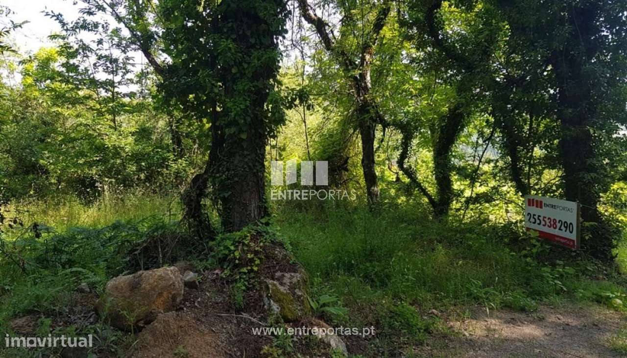 Venda Terreno,Várzea de Ovelha e Aliviada, Marco de Canaveses - Grande imagem: 5/9