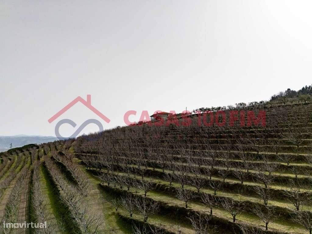 Quinta em Penajóia-21