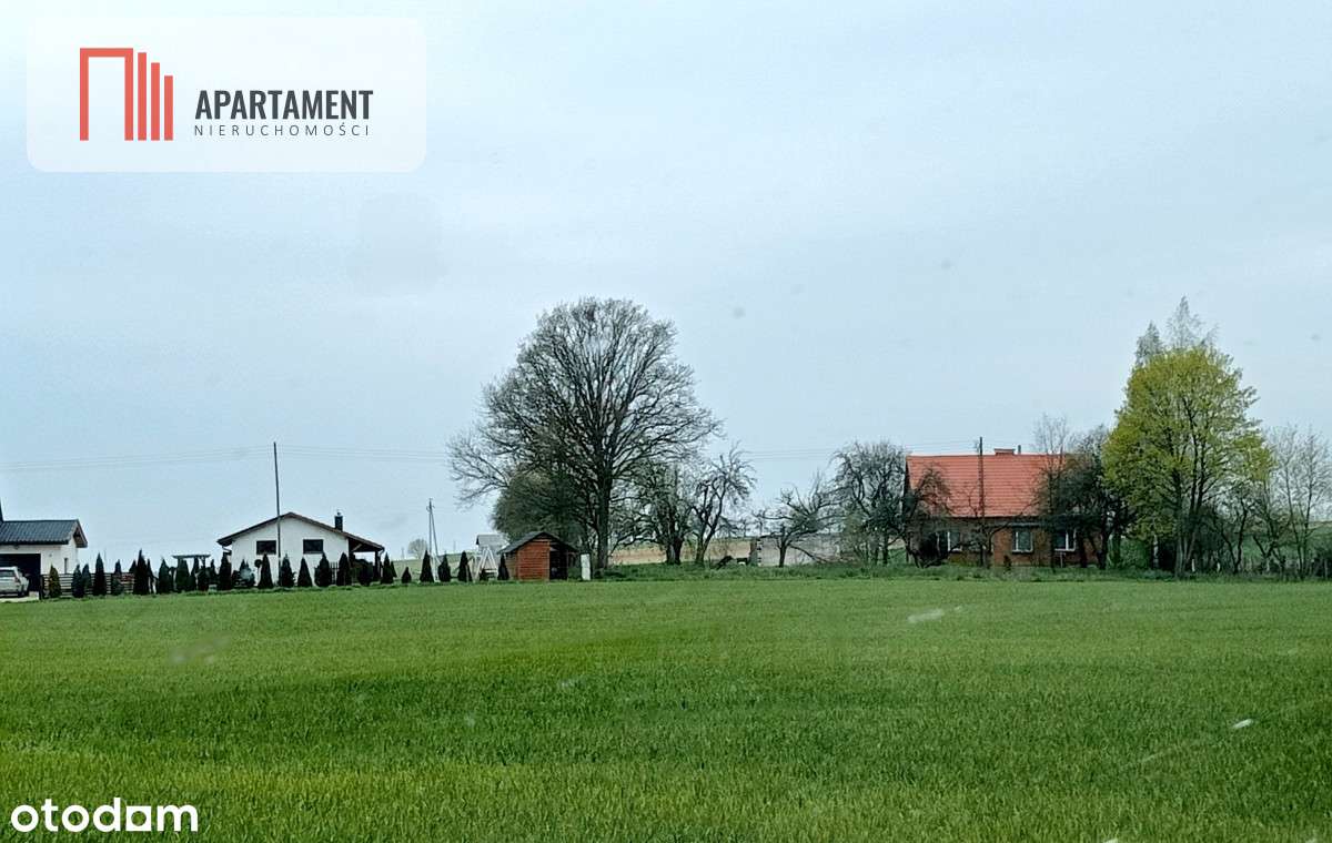 Cicha okolica, przy ścianie lasu! - Pełny obrazek: 2/6