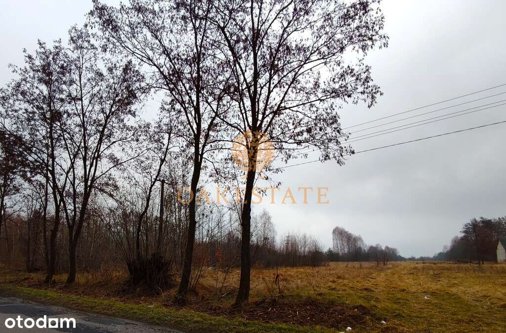 256/9676/OGS - Pełny obrazek: 4/7