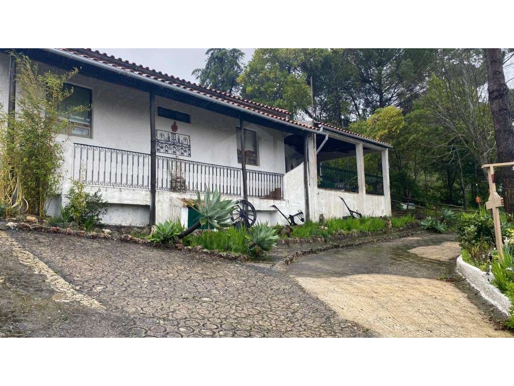 Quinta exclusiva no Parque Natural da Arrábida - Grande imagem: 4/42