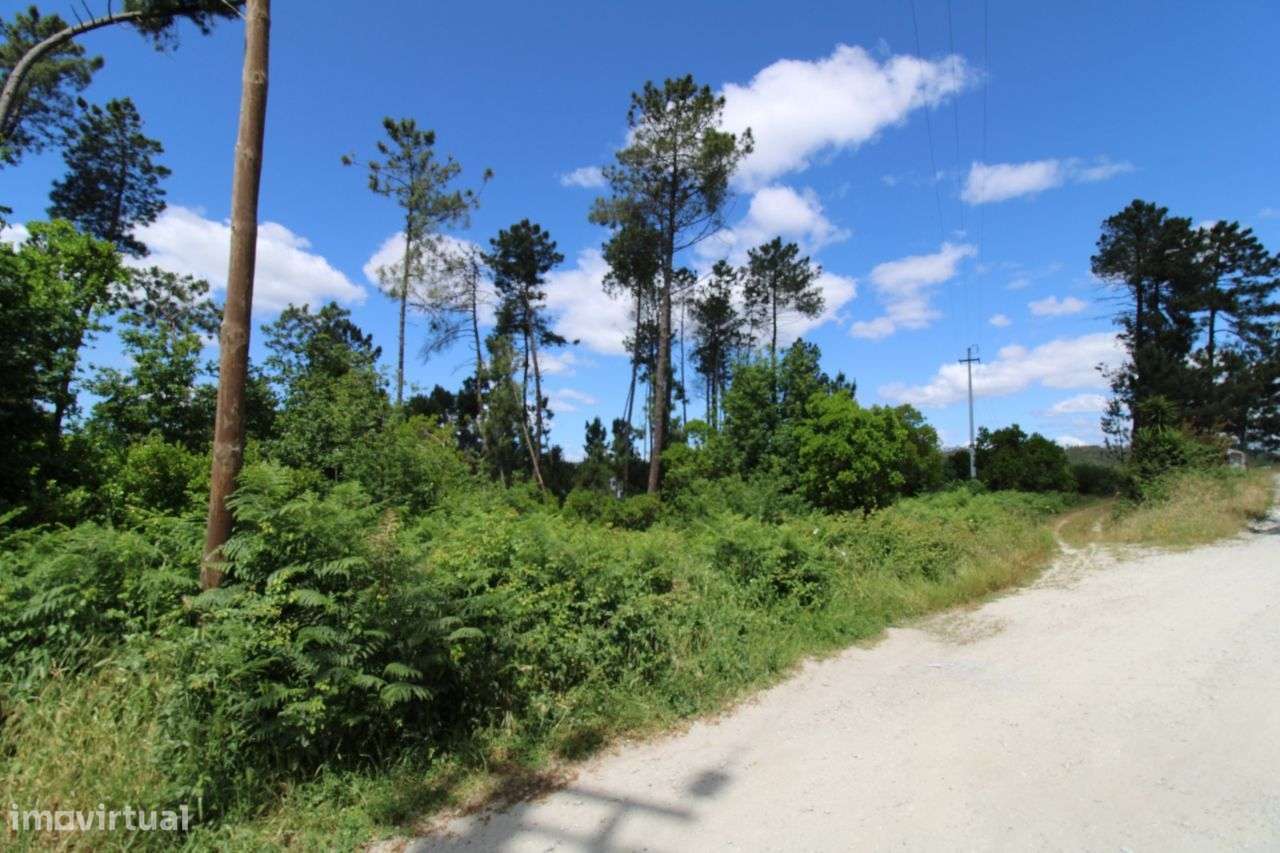 Terreno com Viabilidade de Construção - Orgens - Viseu - Grande imagem: 4/12