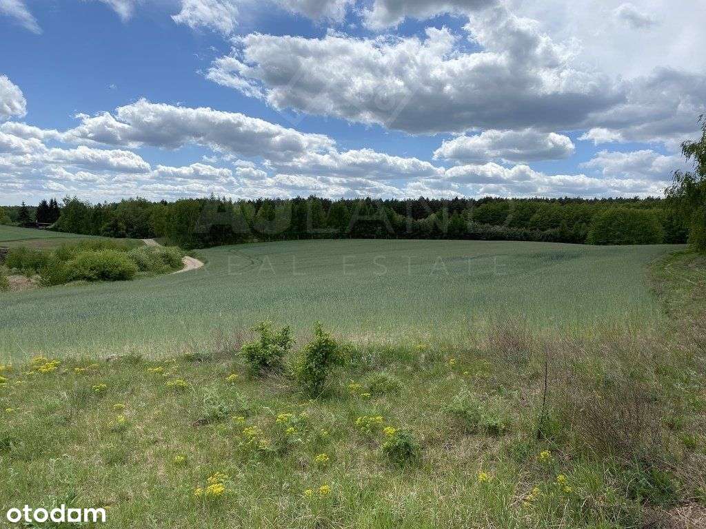 Działki obok lasu w Potrzanowie/ k Skoków - Pełny obrazek: 4/6