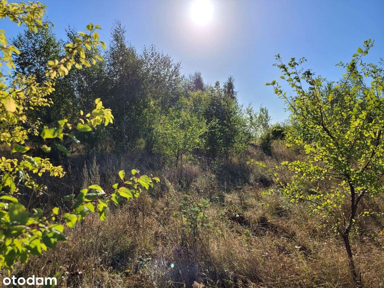 Wyjątkowa okazja działka bud Chwarstnica Gryfino-4