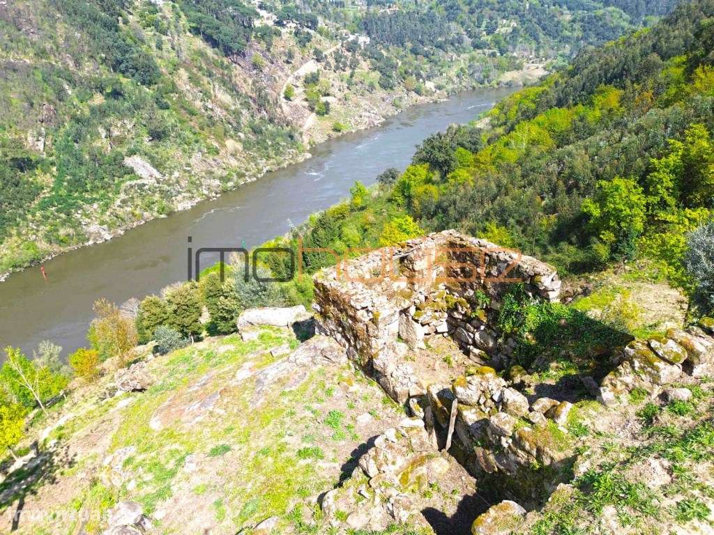 Quinta com frente de Rio Douro-6