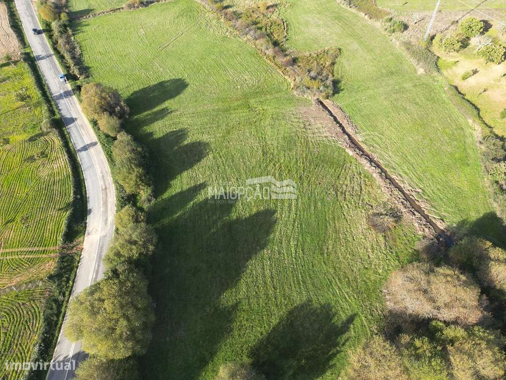 Terreno Agrícola 2hectares Bragança - Grande imagem: 3/5