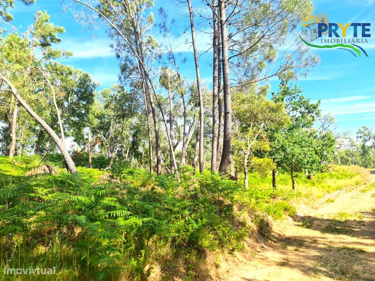 Quinta situada em Casalinho/Tapada-8