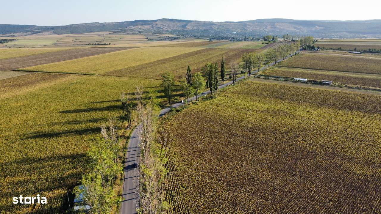 Teren 7200 mp DJ iasi- Voinesti-3