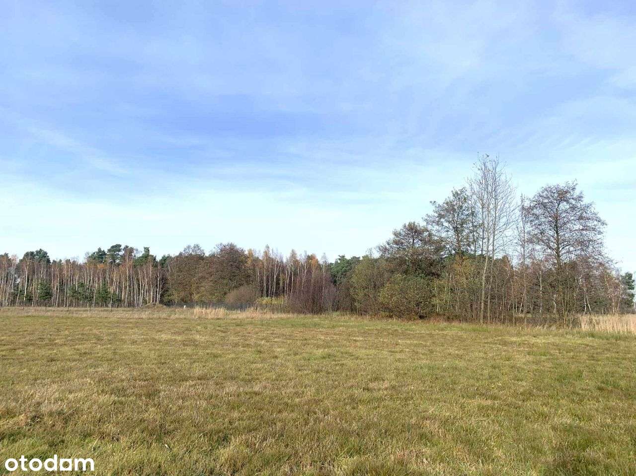 Działka budowlana na sprzedaż Rogów gm. Przykona - Pełny obrazek: 5/8