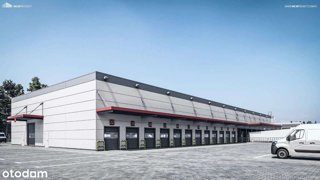 Działka inwestycyjna 1,2h narożna przy obwodnicy i GPZ Ciechanów - Pełny obrazek: 4/6