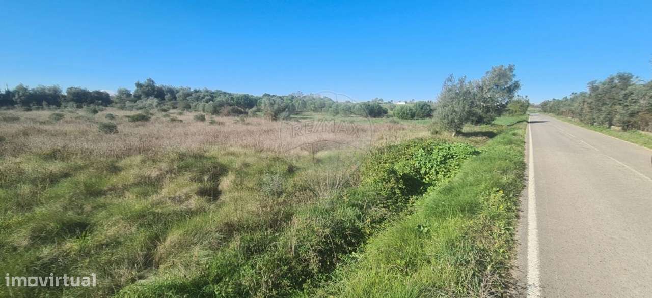 Terreno  para venda - Grande imagem: 4/6