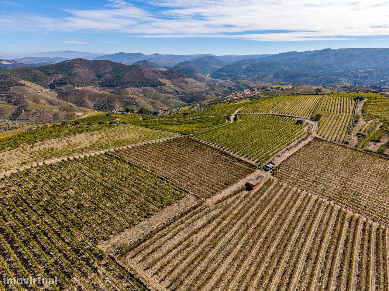 VINHA À VENDA EM MURÇA – REGIÃO DEMARCADA DO DOURO-22