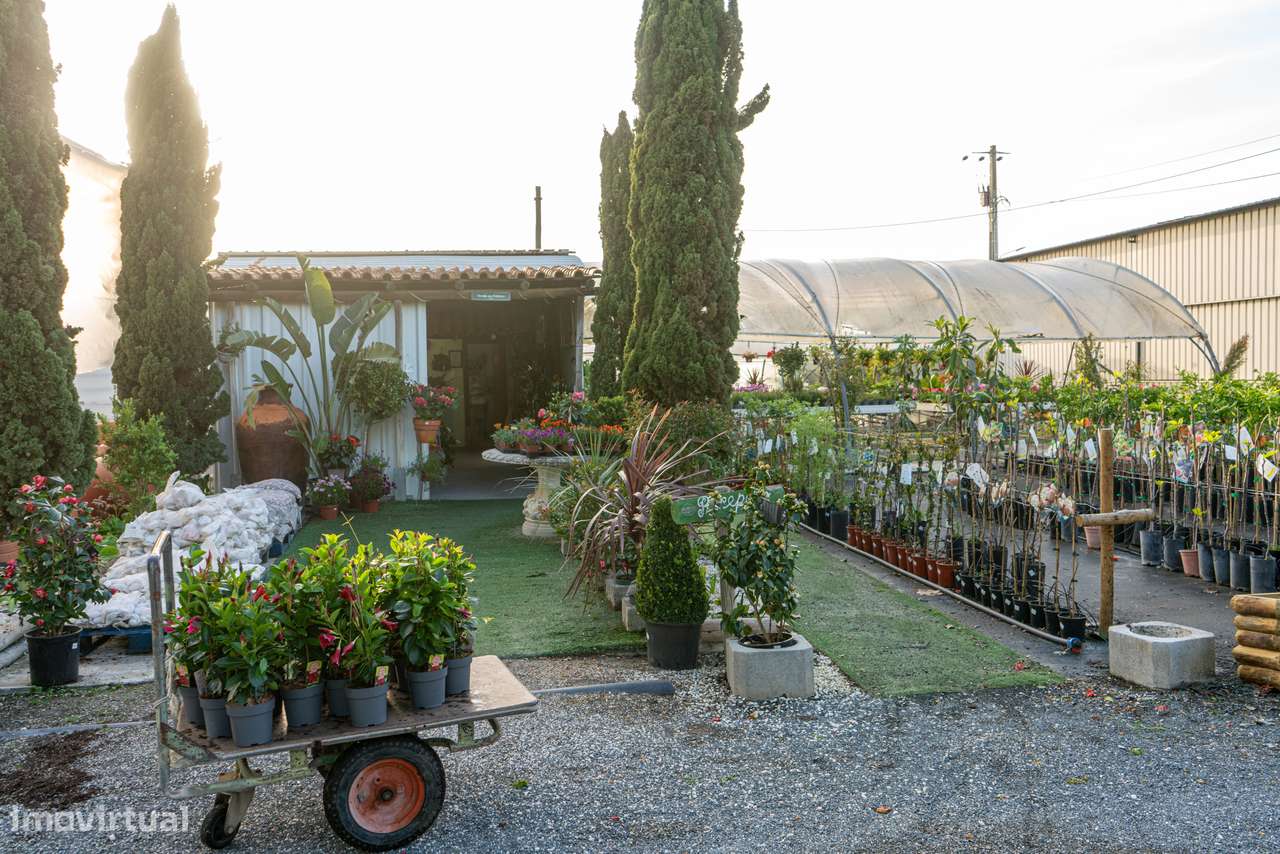Trespasse de Centro de Jardinagem – Negócio Completo e Equipado - Beja-23