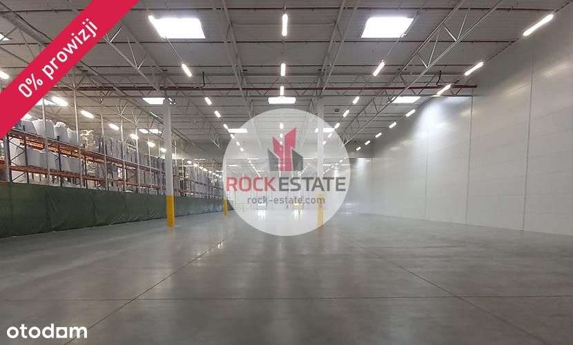 Magazyn 2400 tyś m2 od zaraz - 0% prowizji - Pełny obrazek: 4/9