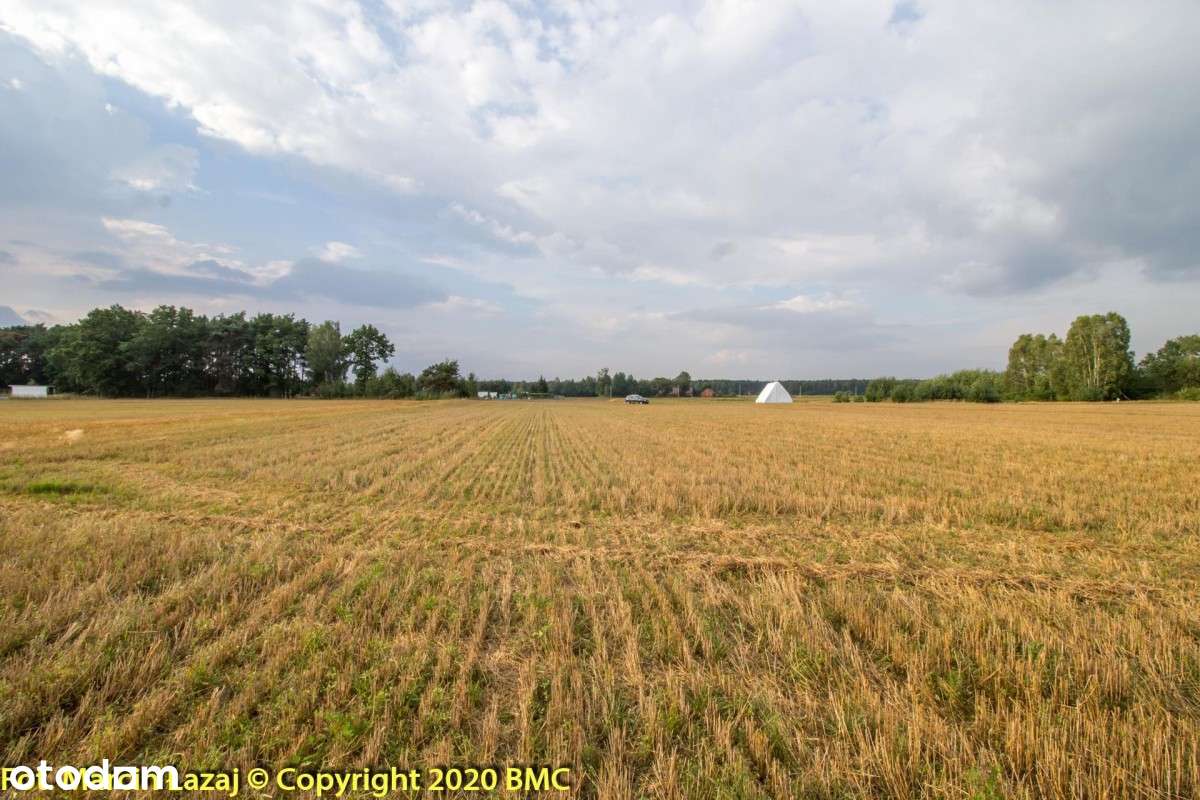 Działka Letniskowa Blisko lasu w Pawełkach - Pełny obrazek: 5/20