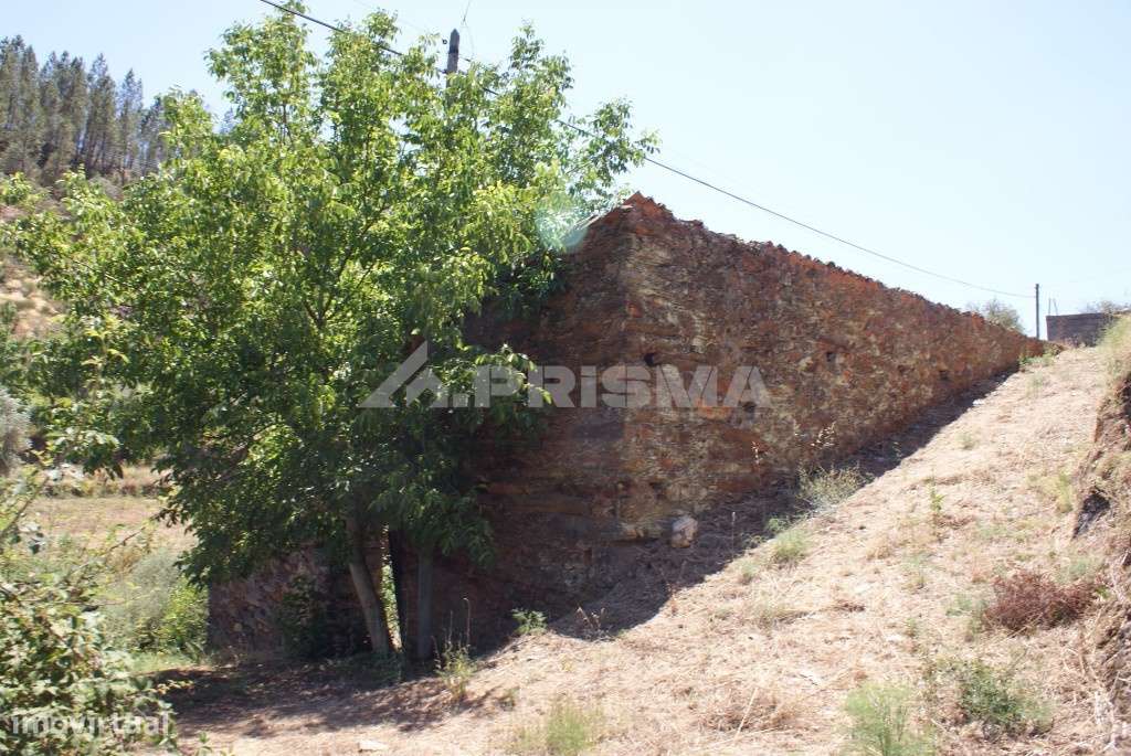 Antigo lagar em ruina - Grande imagem: 5/11