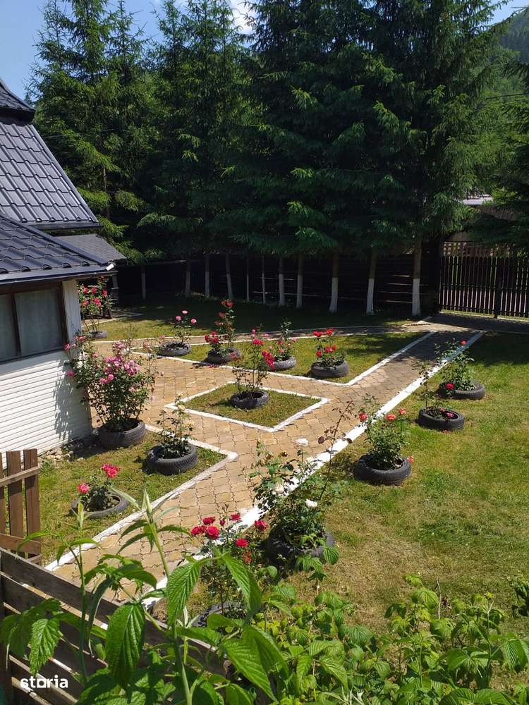 Oferta casa vacanta Vama (campulung Moldovenesc)-2