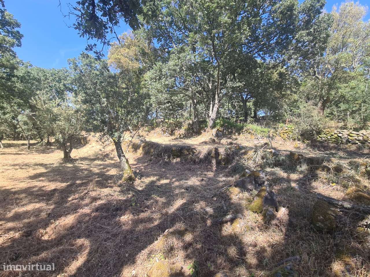 Marvão - Moradia ant. 1951 - Lote 2878 m2, Serra S. Mamede-7