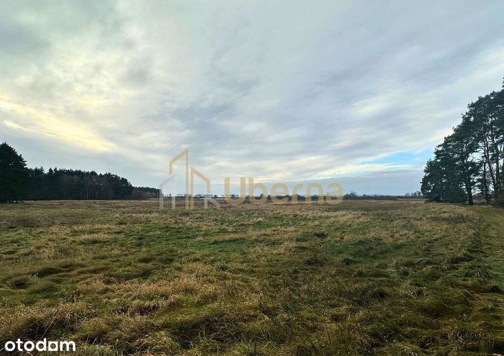 Działka rolna Gm.Goleniów na sprzedaż-1