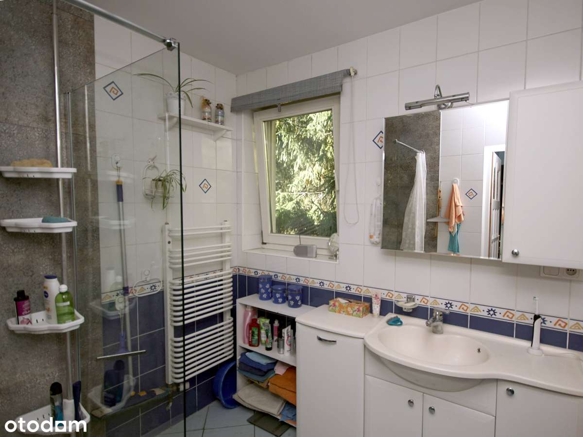 Blisko Zalesia Górnego, okolice Lasu Chojnowskiego-8