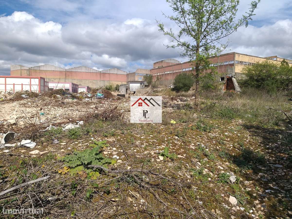 Terrenos para construção de Armazéns ou Unidade Fabril.-10