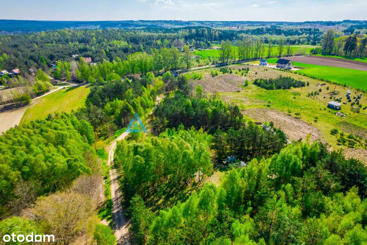 Zaciszna działka rekreacyjna w Żukówku - Pełny obrazek: 5/15