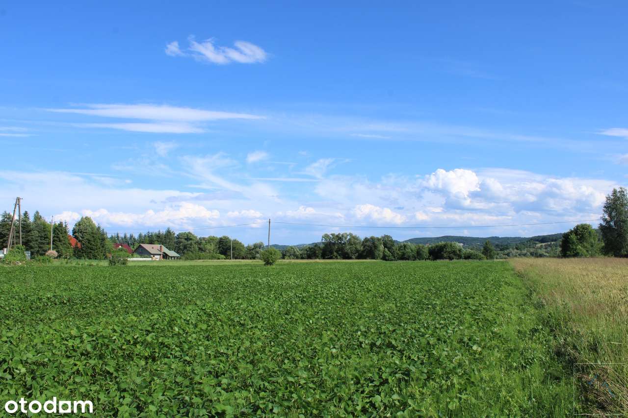 Winiary (gm. Gdów) działka budowlana z dużym potencjałem inwestycyjnym-5