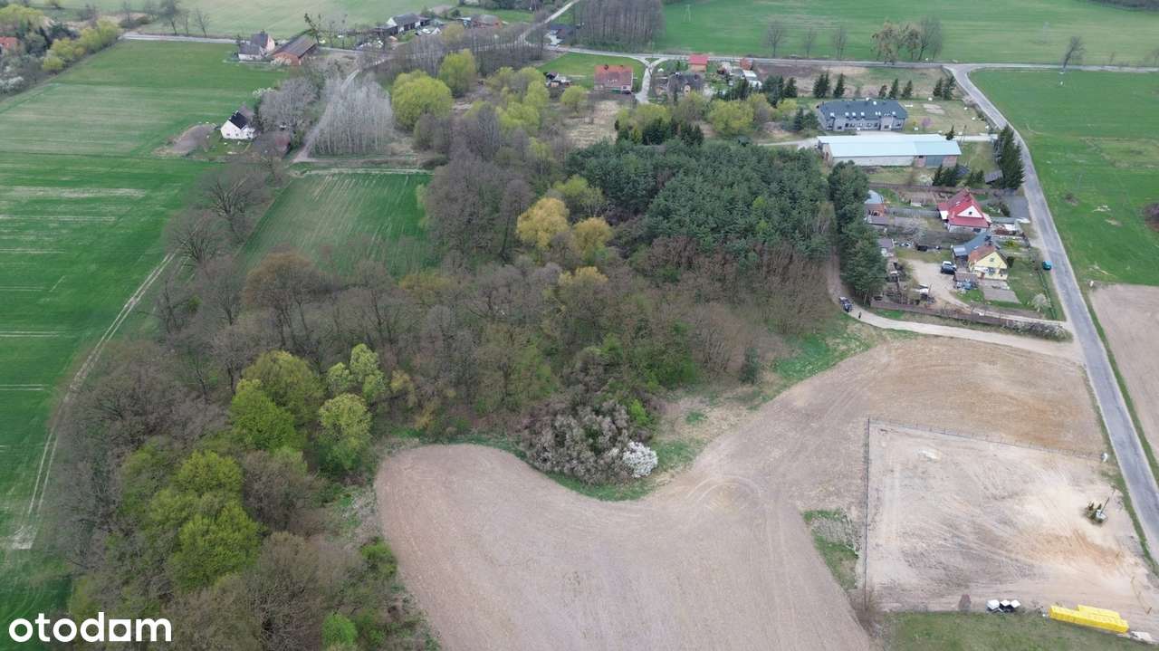 Sprzedaż nieruchomości inwestycyjnej – 3,46 ha | Grzebielin Budowlana-8