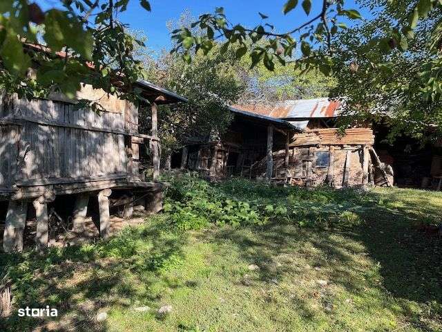 Casa veche cu teren generos in com. Rosiile, Jud. Valcea - Imagine principală: 5/12