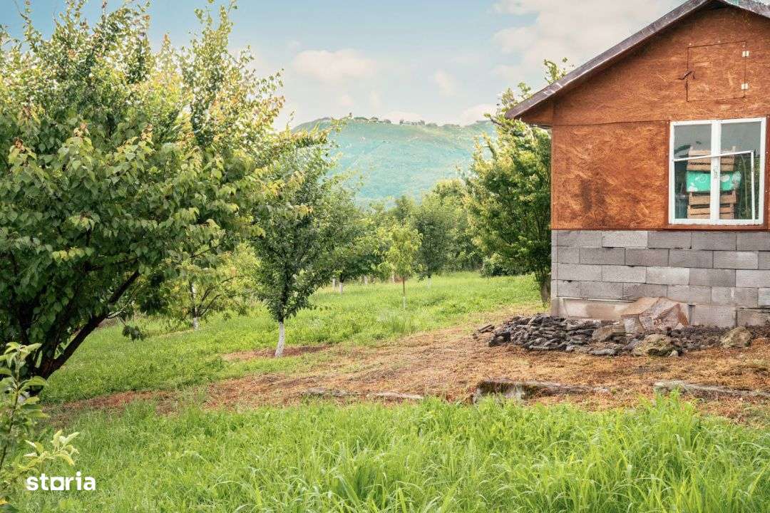 Viseaza, construieste, culege: Livada Paradisului – De Vanzare - Imagine principală: 5/19