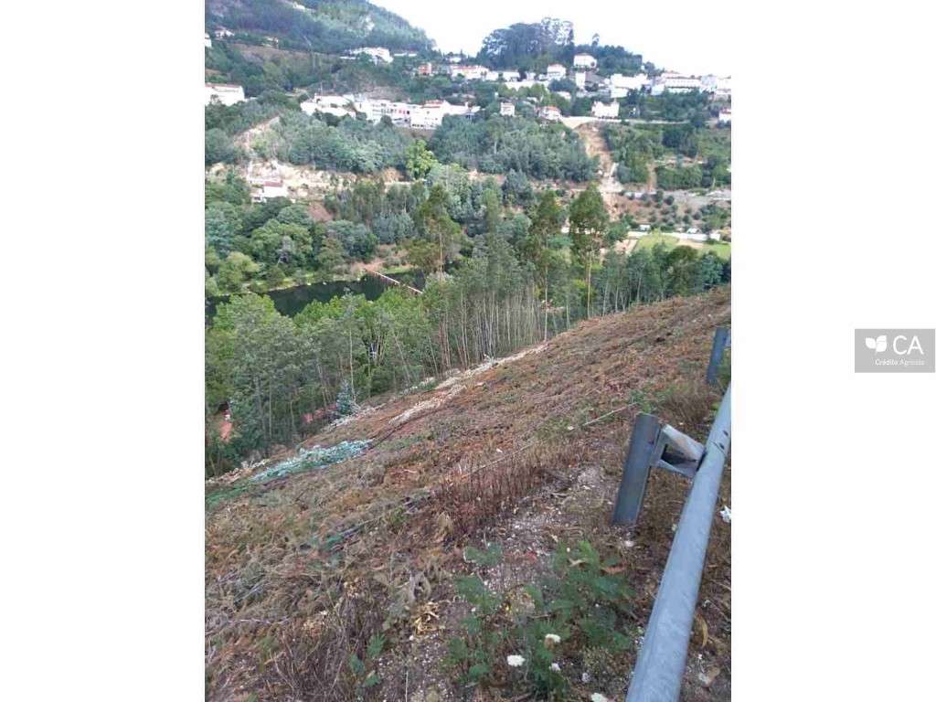 9 terrenos rústicos com acesso pela estrada municipal. Estão inseri...-0