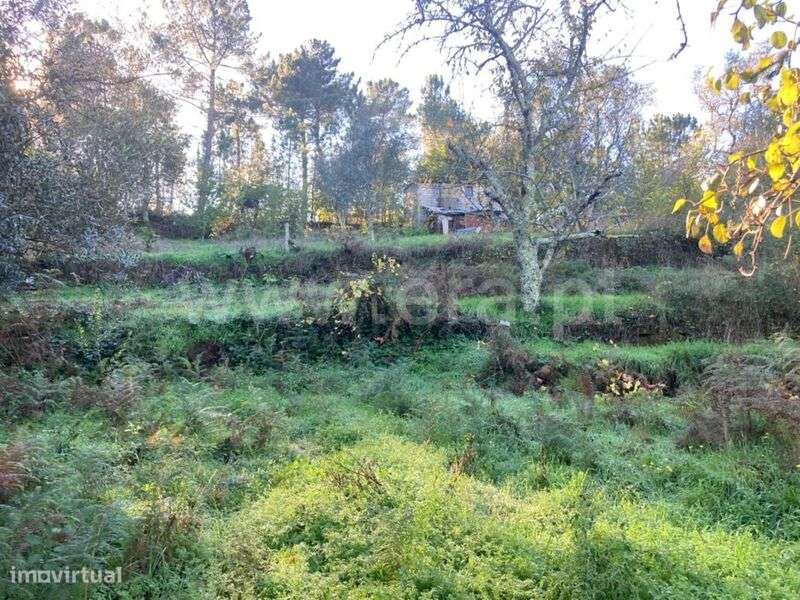 Terreno Rústico / Seia, Seia, São Romão e Lapa dos Dinheiros - Grande imagem: 4/12