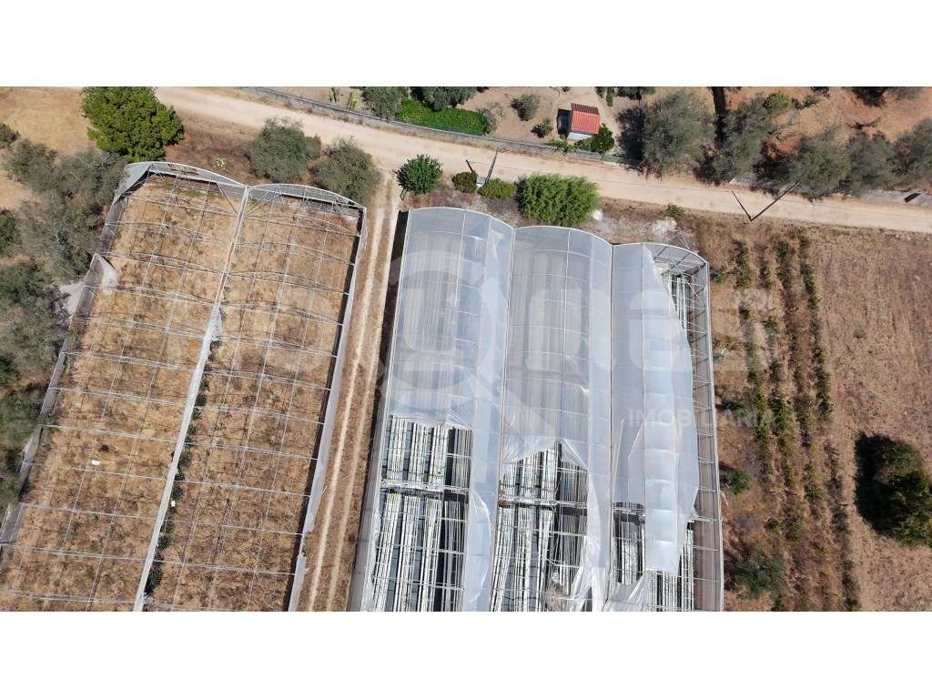 Terreno Agrícola com Estufas Preparadas para Produção em Hidroponia...-34