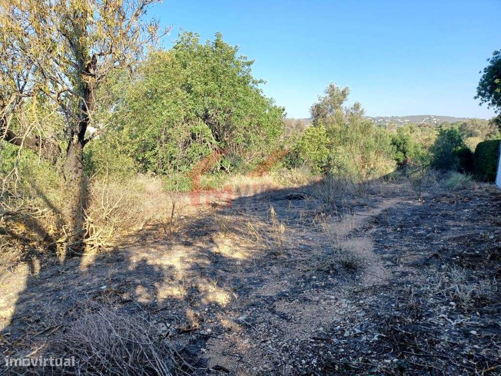 Terreno com PIP para construção de moradia com piscina - Boliqueime - Grande imagem: 2/9