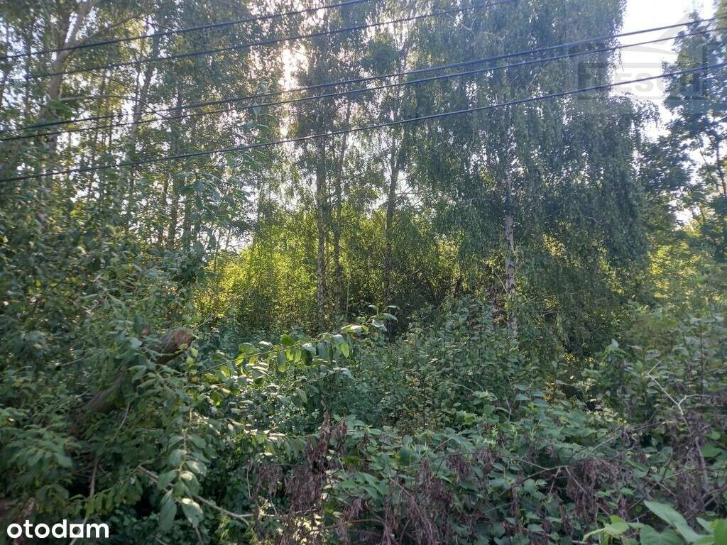 Atrakcyjna działka budowlana Brwinów 1580m2 - Pełny obrazek: 4/8