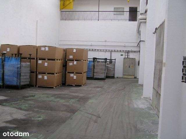 Hala w Świdnicy - Pełny obrazek: 5/8