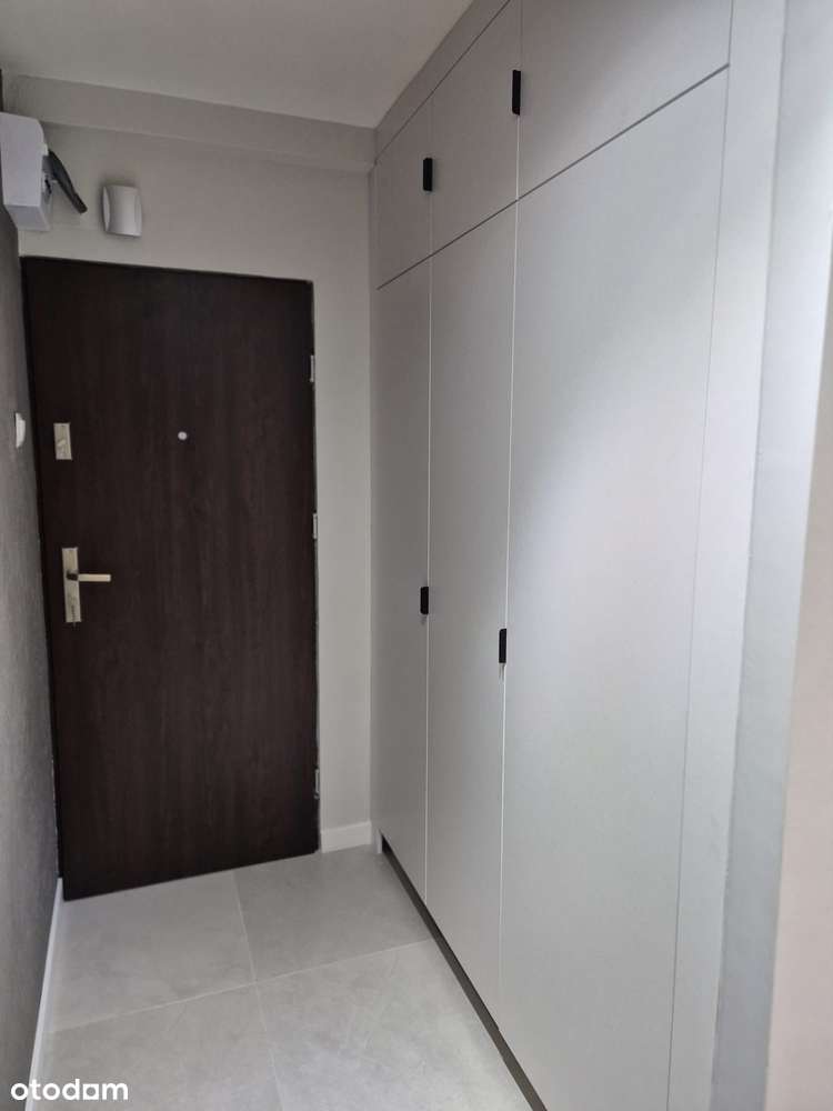 Ruda Śląska - ul. Międzyblokowa -DO WPROWADZENIA! - Pełny obrazek: 3/11