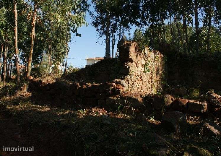 Buarcos - Herdade com vista de mar - Grande imagem: 2/16