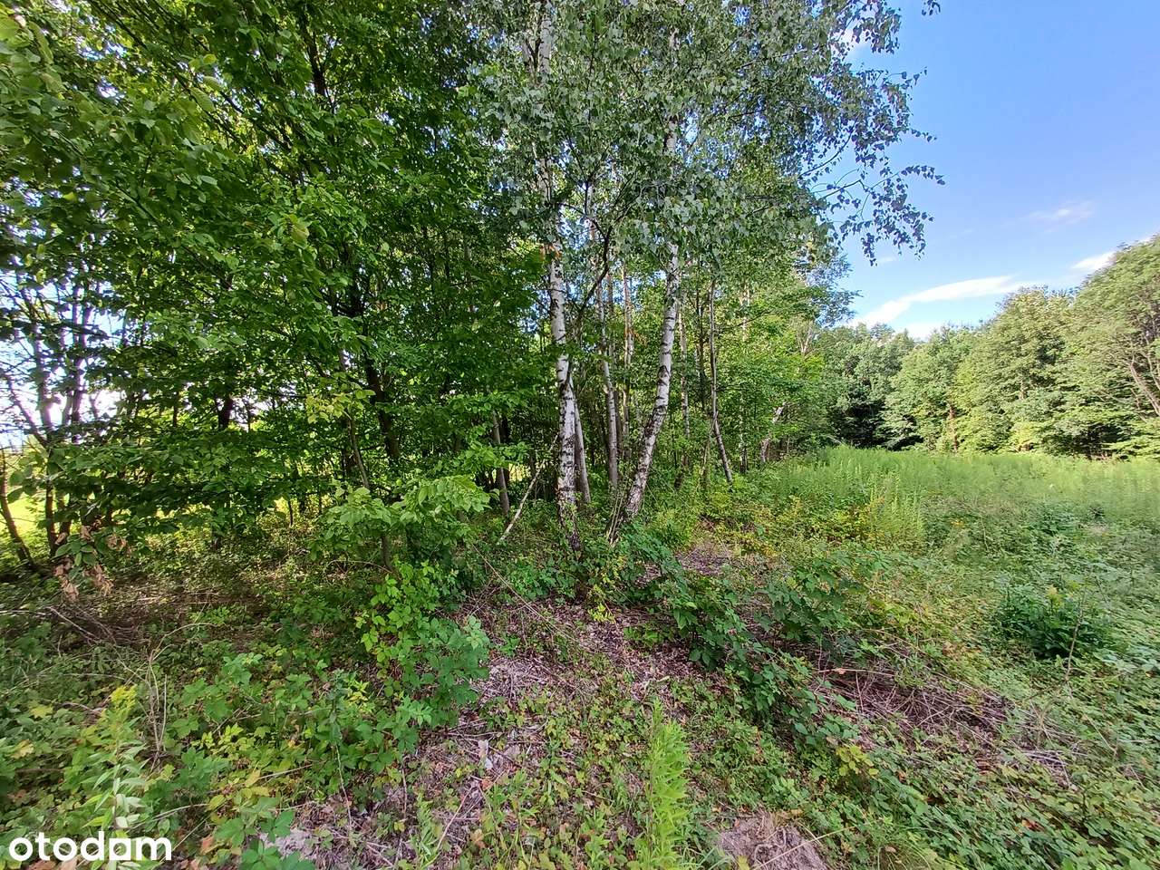 Działki na sprzedaż - Lanckorona ul. Krakowska-3