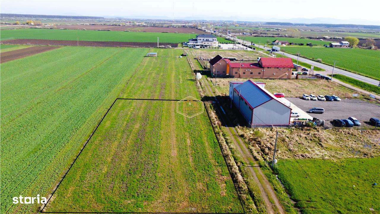 VIDEO | O parcela, 4 locuri de casa in Botiz | Proiect imobiliar - Imagine principală: 4/7