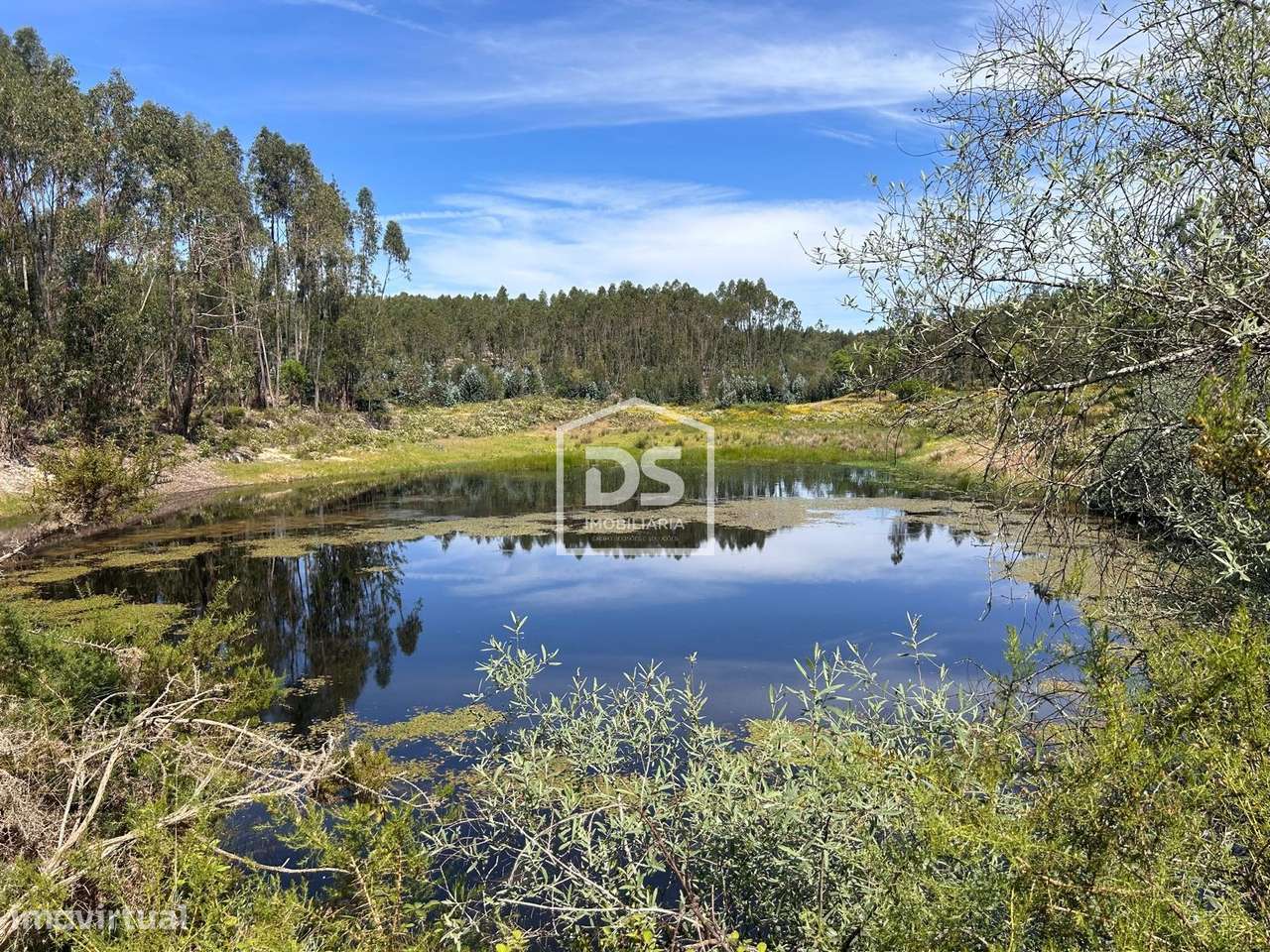 Herdade  Venda em Raposa,Almeirim-7