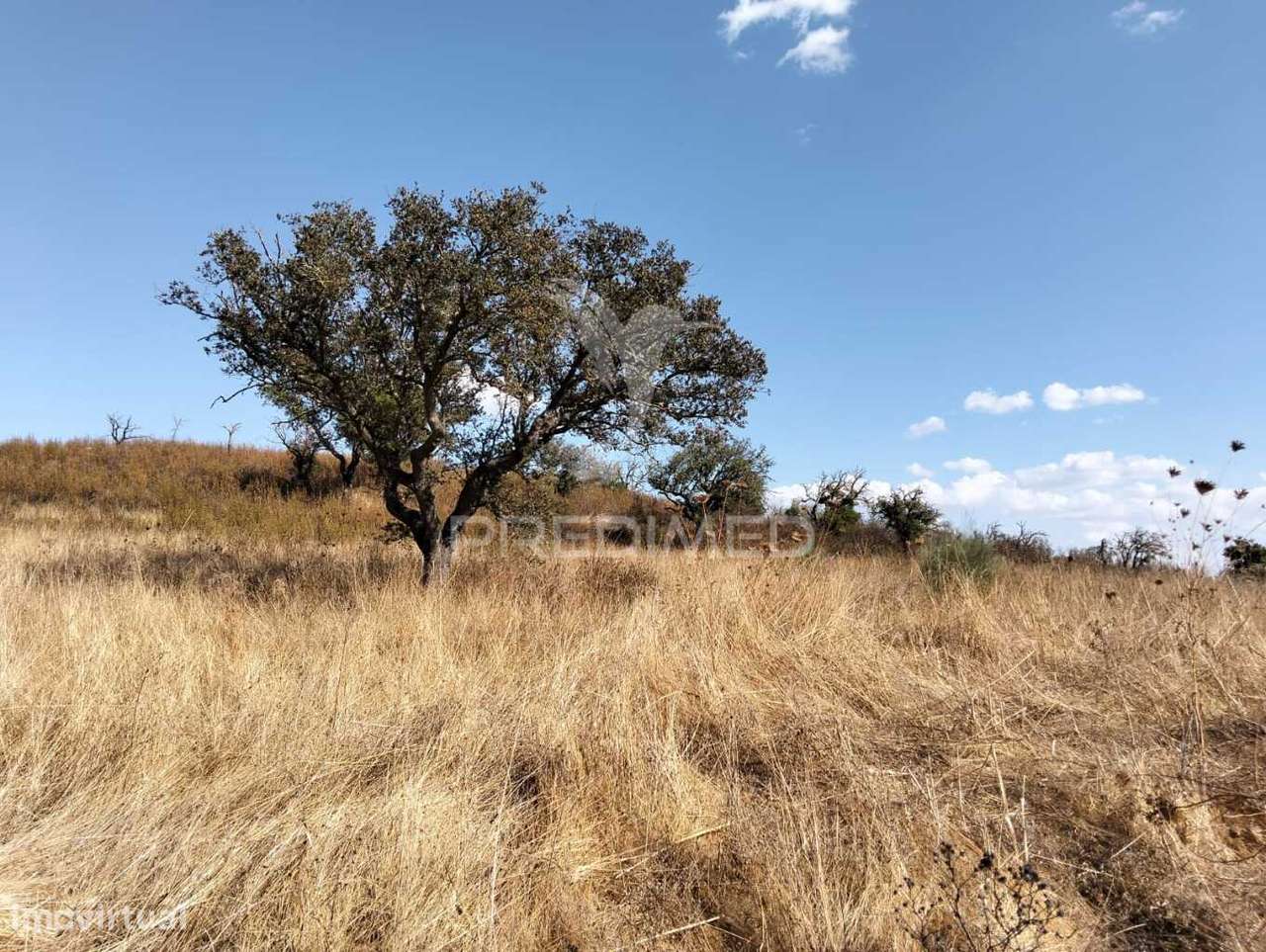 Terreno Rústico com 4,45000(ha) - Rosário, Alandroal - Grande imagem: 5/19