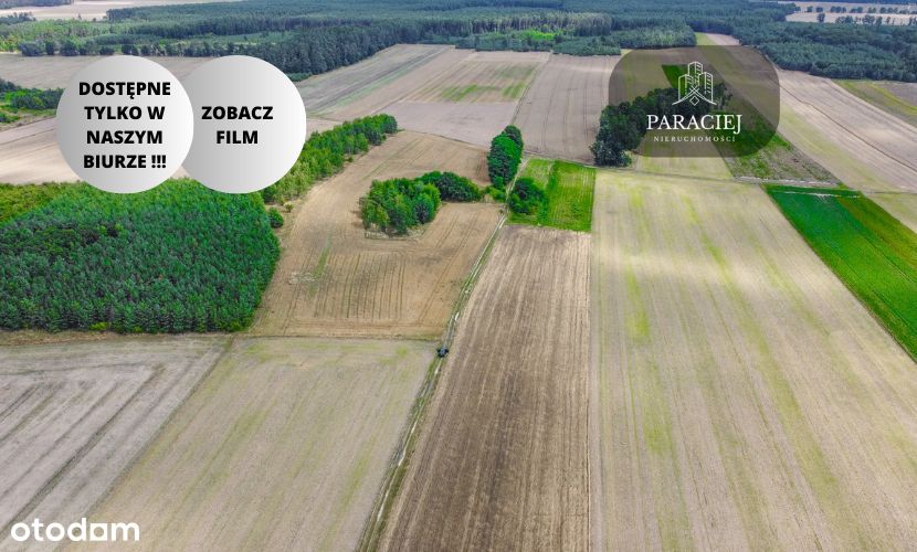 Działka, Grunt Rolny - 13 400 m2 - ZOBACZ FILM