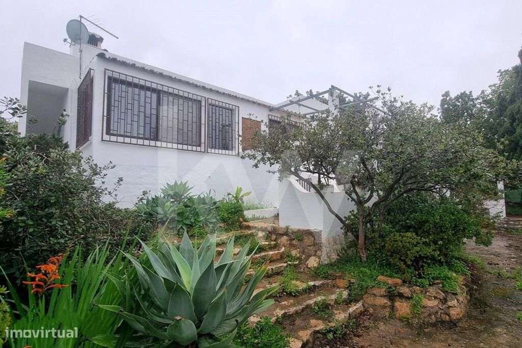 Quintinha em Olhão - Grande imagem: 5/31