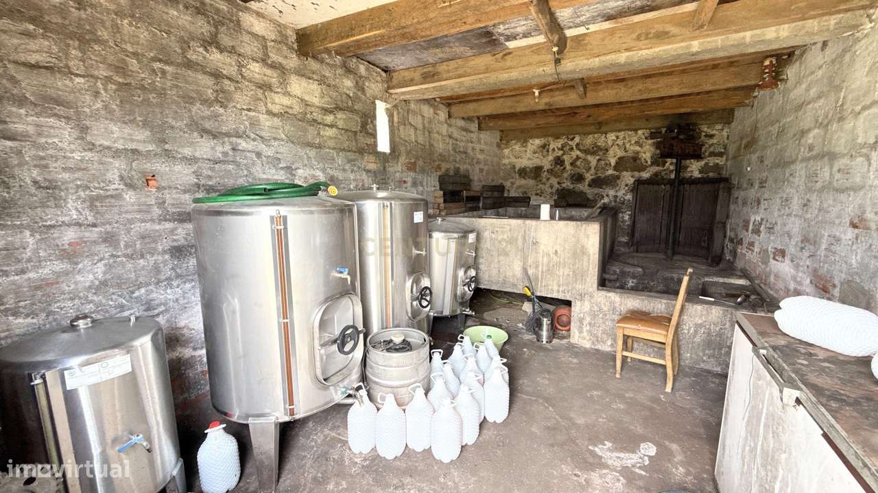 Quinta em Miomães, Resende | Um refúgio rural com cerca de 4 hectares-29