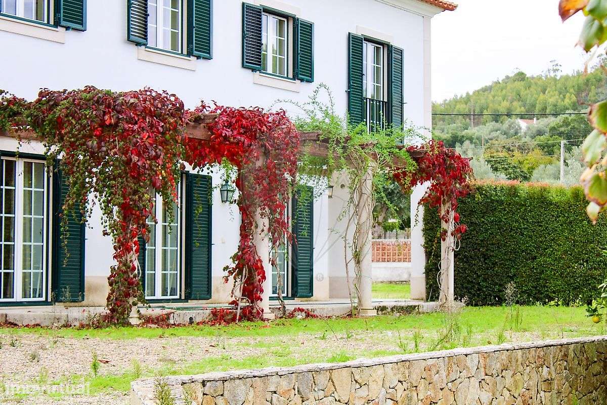 Quinta T5 para venda - Grande imagem: 3/30