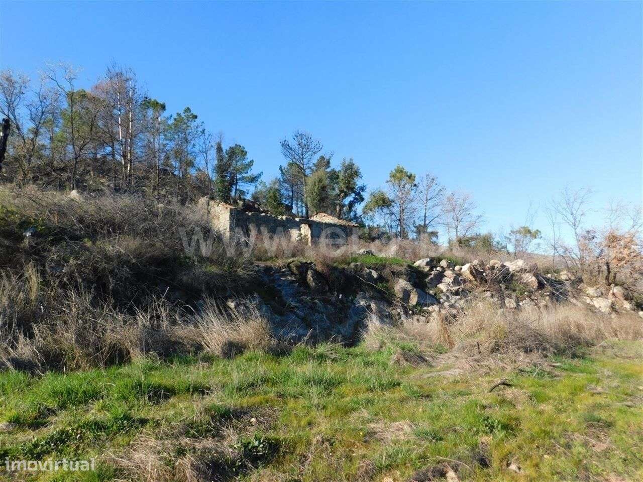 Terreno / Fundão, Castelo Novo - Grande imagem: 4/19